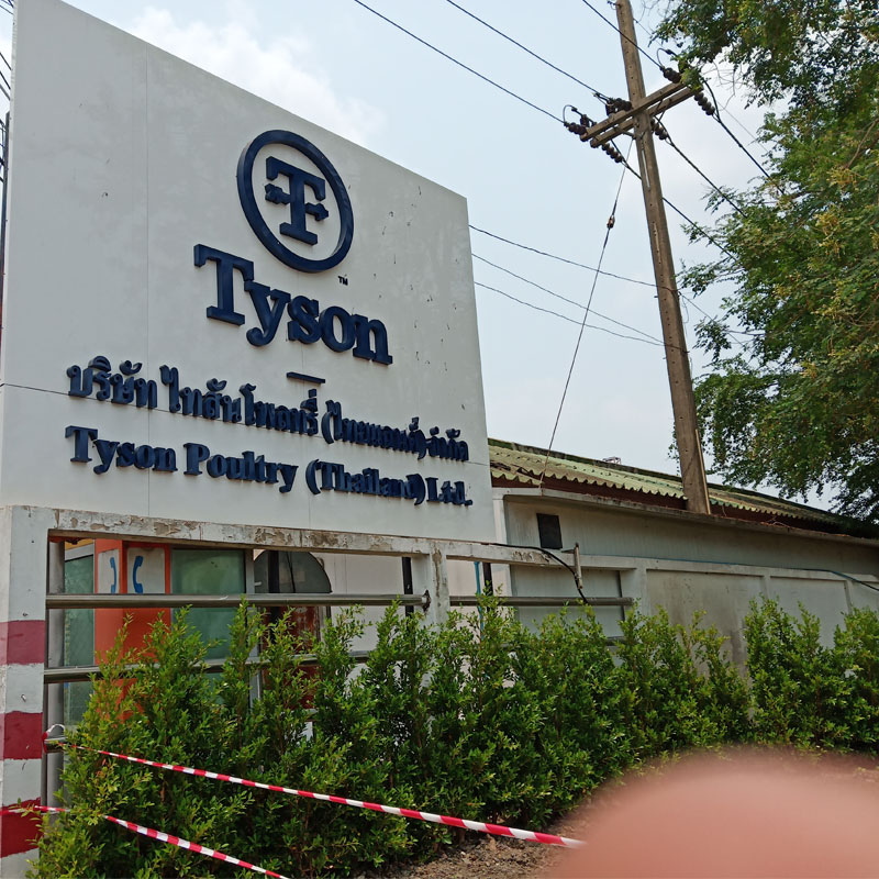 โรงงาน Tyson Poulry ( Thailand ) Limited ฮีโน่ลาดกระบัง
